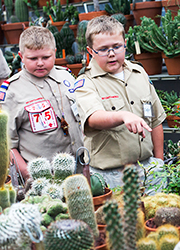 Boy scouts viewing desert show